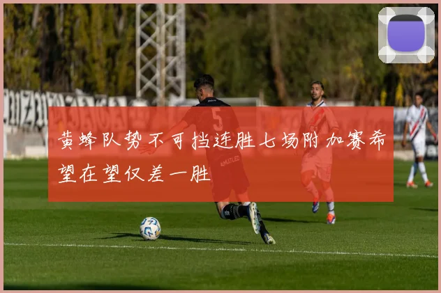 黄蜂队势不可挡连胜七场附加赛希望在望仅差一胜