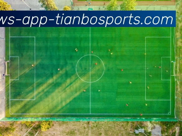 天博体育APP 封面图